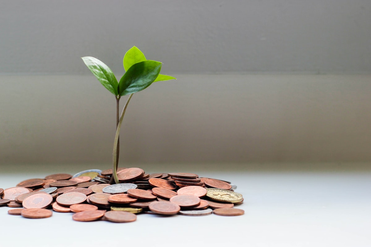 A seedling growing from a pile of coins